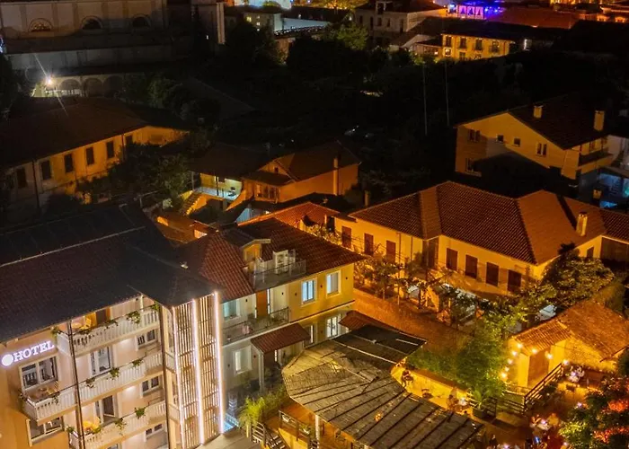 Hotel Ikona