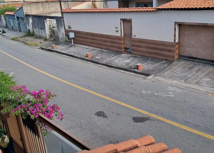 Canto dos pássaros