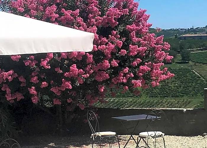 Tenuta Le More