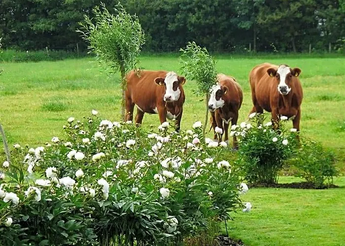 Landgoedlogies Pabema