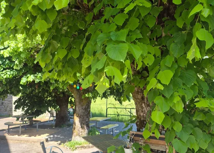 Auberge La Tete En L'Air