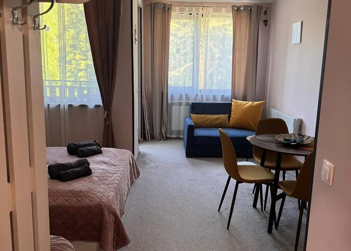 MVS Borovetz Gardens Apart E28 studio