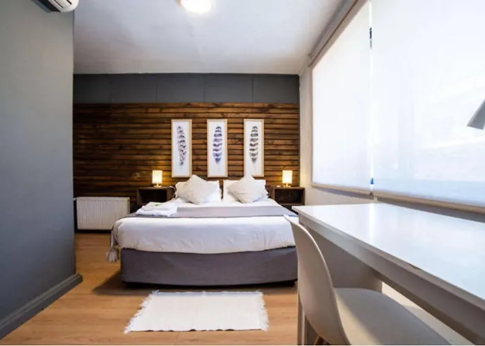 Hotel Etnico Bio Bio