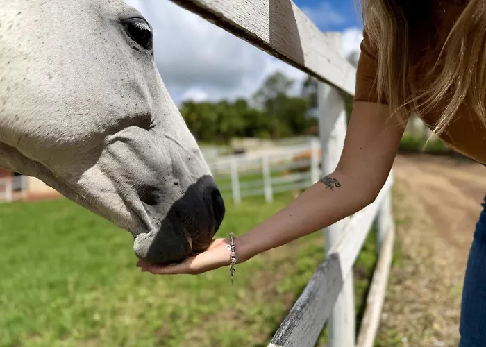 The Barn Experience - Mantiqueira