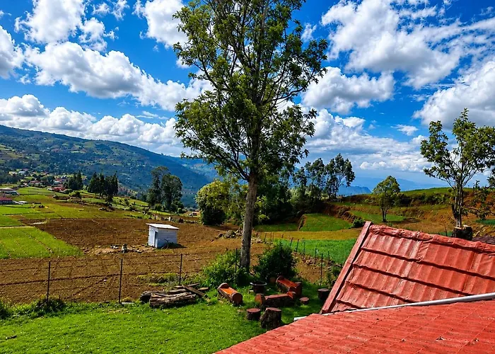 The Earthy Nest By Brown Tree