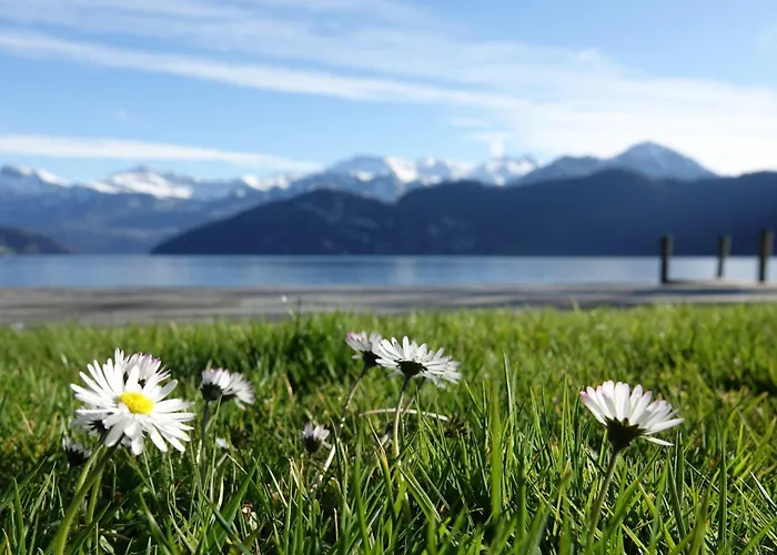 Seminar-Hotel Rigi am See