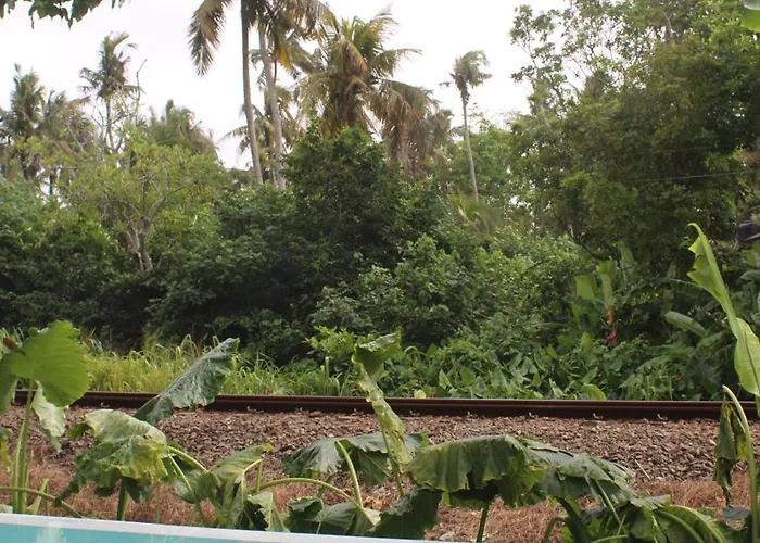 Maria Bonita Sri Lanka