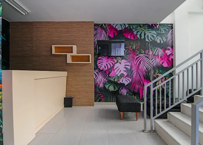Hotel O Koala House