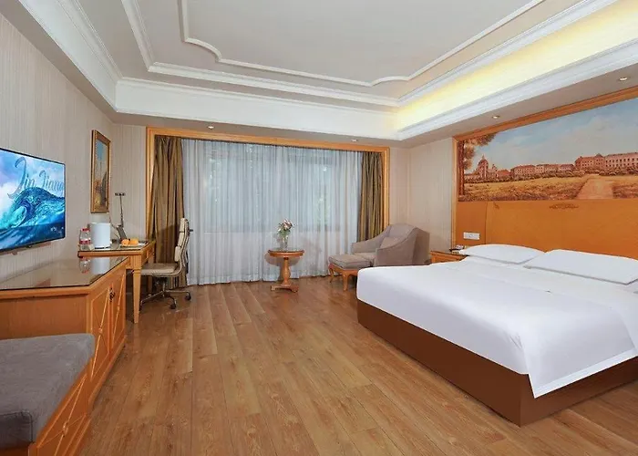 Vienna International Hotel Lhasa Potala Palace