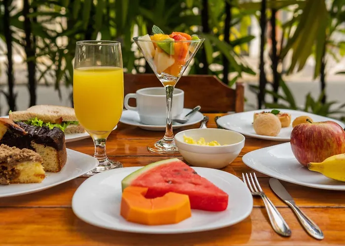 Ibis Blumenau