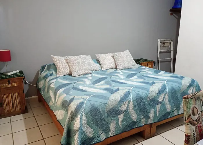 Pension Baja Paradise