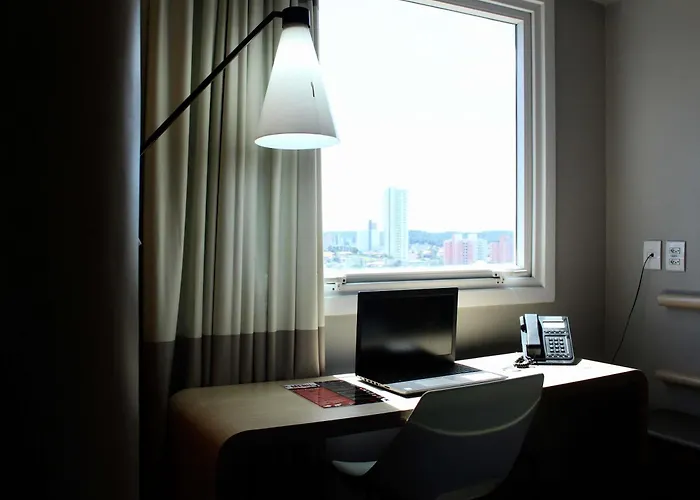 Ibis Natal
