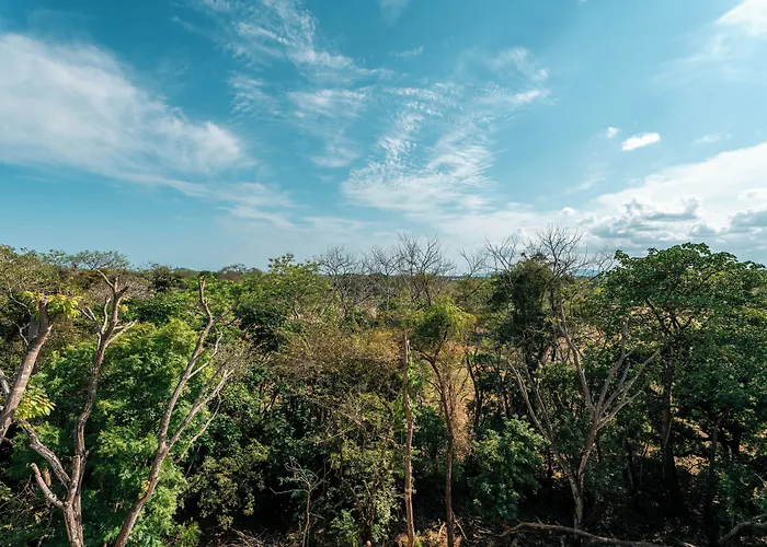 Alaya Panama - Private Retreat & Wellness Resort