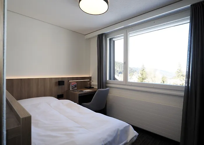 Hotel Alpina Parpan