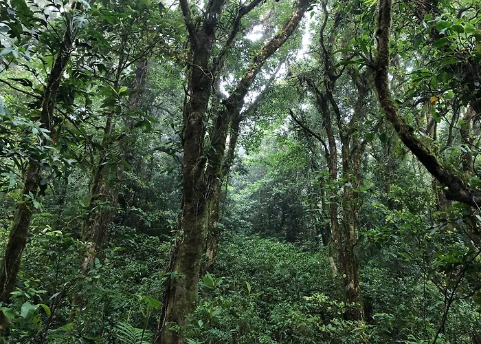 Burbi Lake Lodge Monteverde
