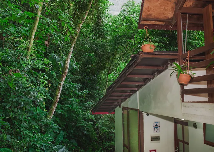 Rupa Rupa High Jungle Eco B&B