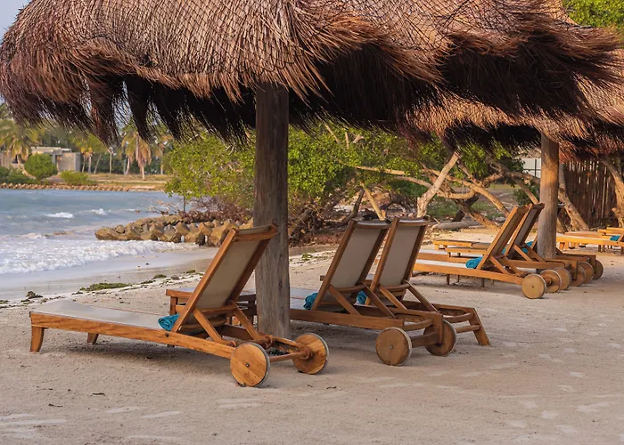 Acasi Rustic Beach
