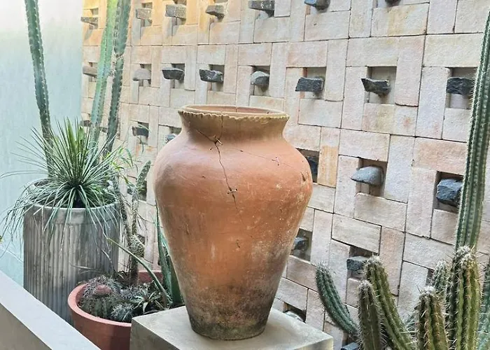 Casa Cacto Pousada