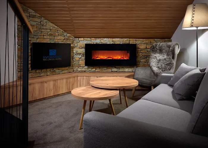 Wellness Hotel Svornost