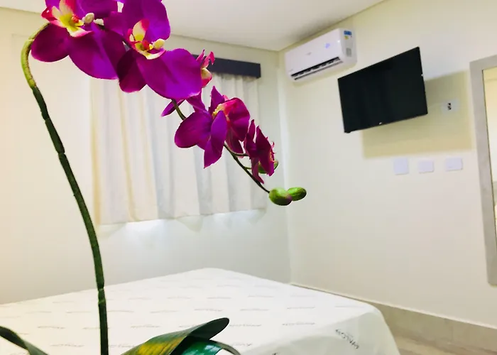 Hotel Avalon Maringá Econômico