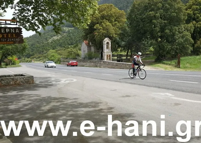 Hani Zemenou