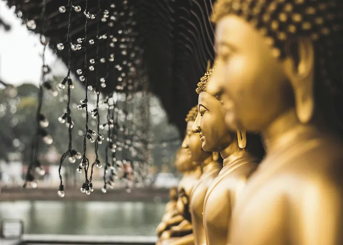 Fairway Colombo - Sri Lanka'S First Hotel With Robot Technology