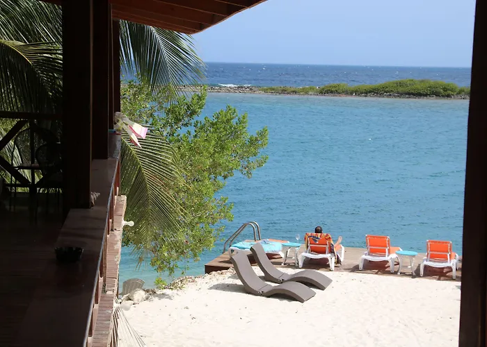 Coral Reef Beach
