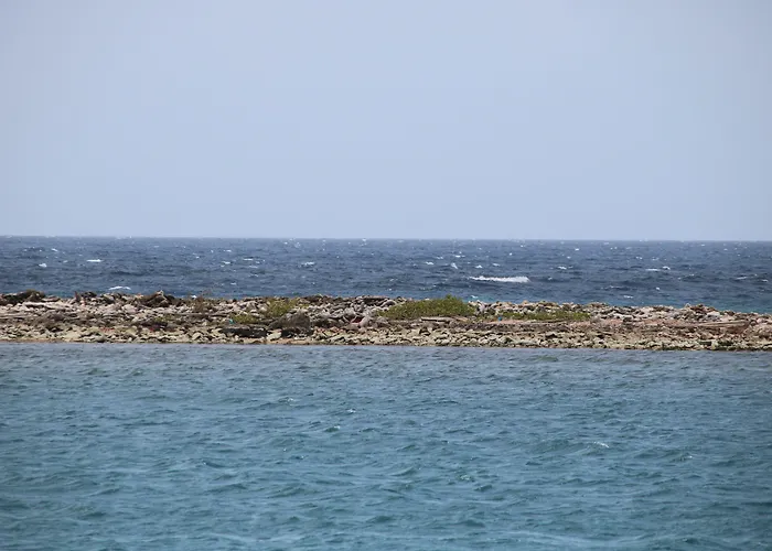 Coral Reef Beach
