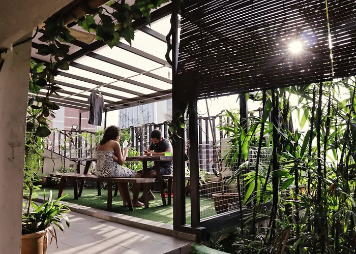 Rain Forest Hotel