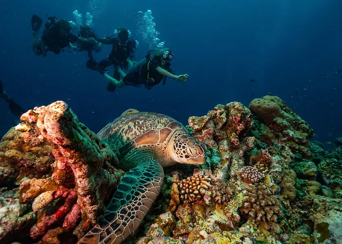 Trawangan Dive Centre