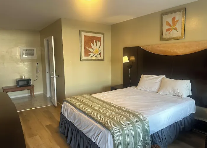 American Plaza Motel