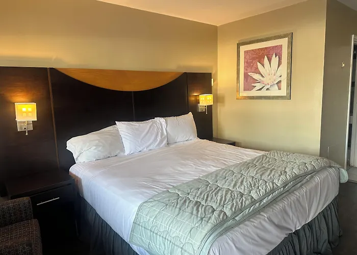 American Plaza Motel