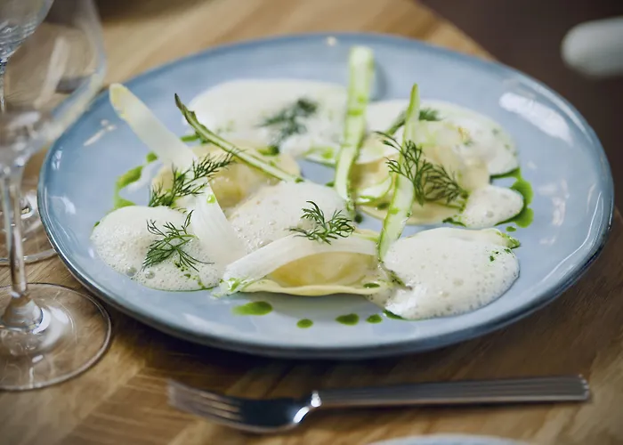 Hotel Plesner