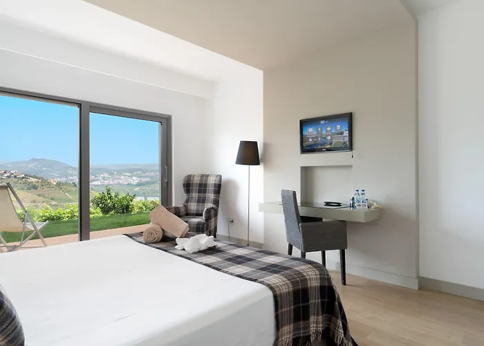 Delfim Douro Hotel