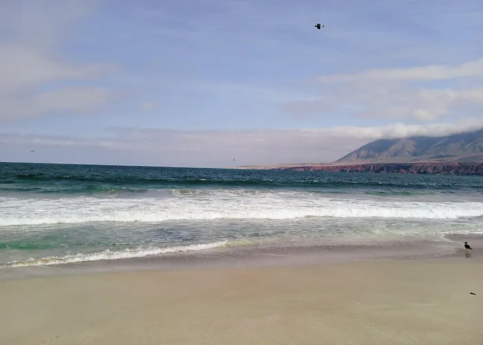 Ibis Antofagasta