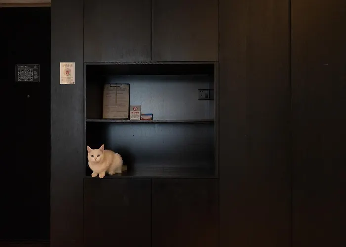 Heonic Art Residence & Suites丨 Signature Family Suites - Free Laundry Luggage Storage -24H Front Desk - Cat Cafe