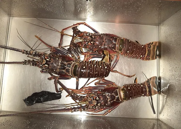 The Milligan Guest House