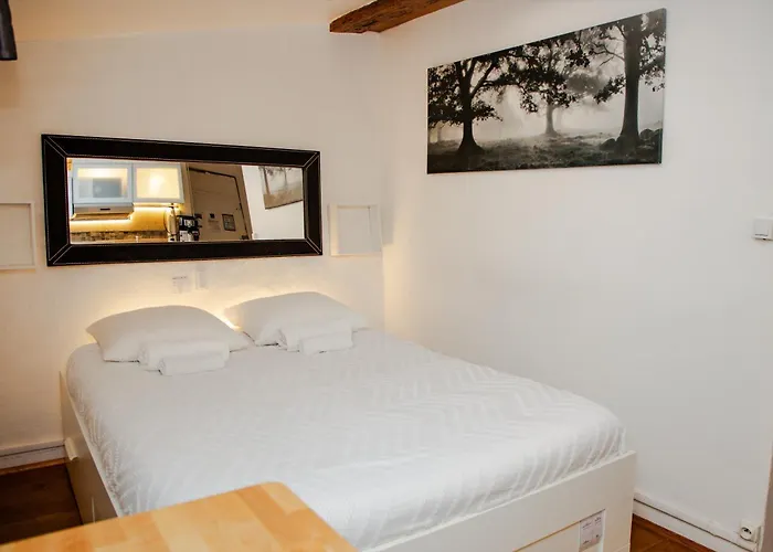Loge du Vieux Lyon Chambre d'hôtes