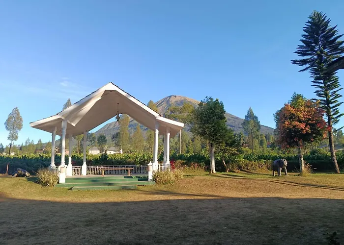 Dieng Kledung Pass Hotel & Restaurant