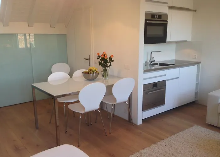 Carouge Loft Apartment
