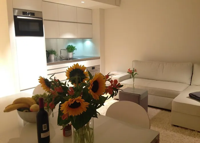 Carouge Loft Apartment