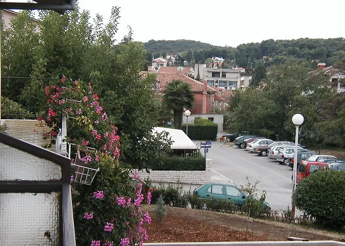 Apartment Iva