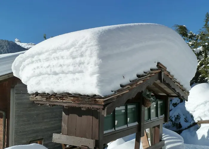 Chalet Gerbera