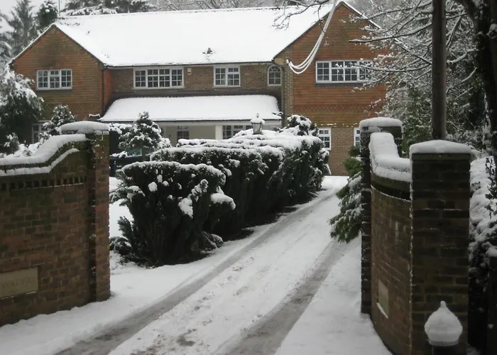 Tanglewood Gatwick Bed&Breakfast