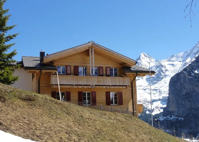 Chalet Schönbühl