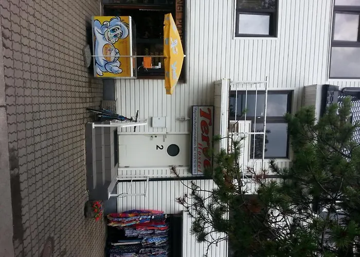 Terve Hostel
