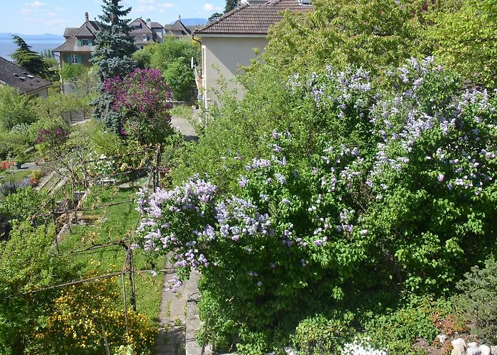 Appartements Vacances Saars 33