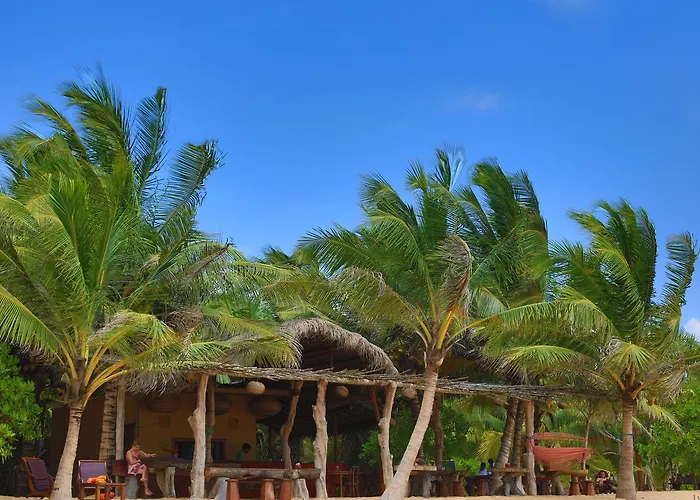 Mangrove Beach Chalets