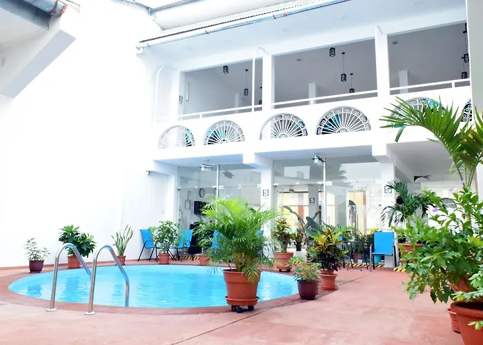 Hotel Jungle House