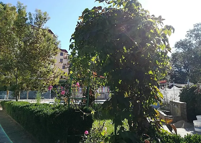 Park 1
